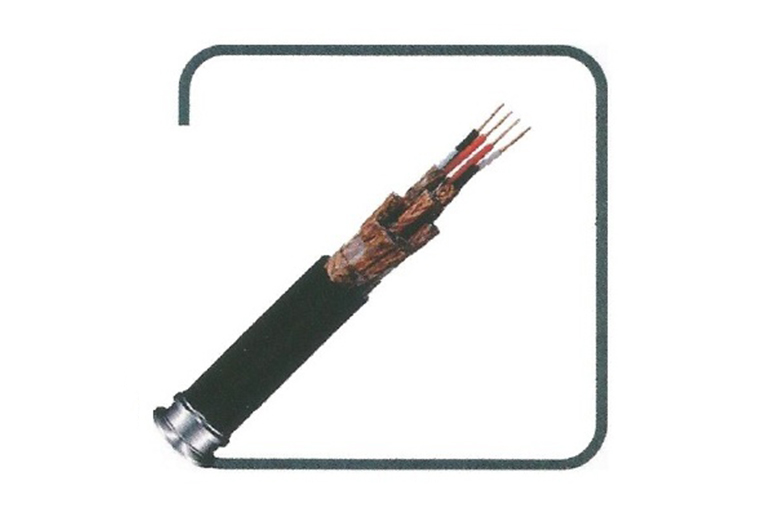 聚乙烯絕緣計算機電纜